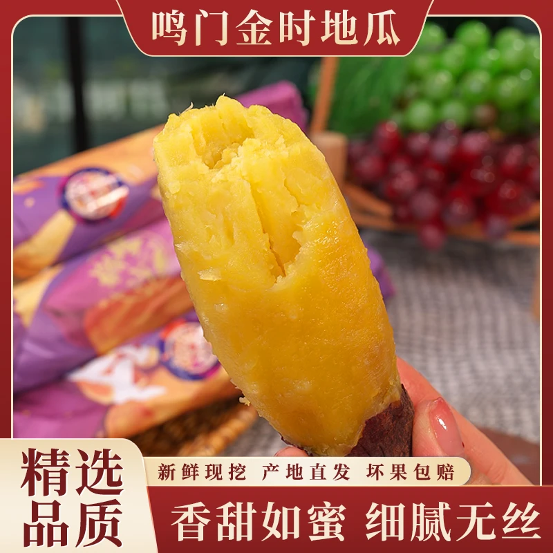 正宗海南鸣门金时地瓜新鲜农家沙地种植番薯板栗红薯黄心蜜薯5斤