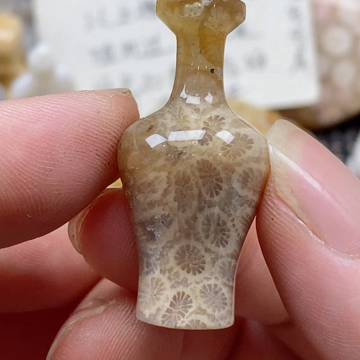 颈饰未镶嵌硅化珊瑚（珊瑚玉）