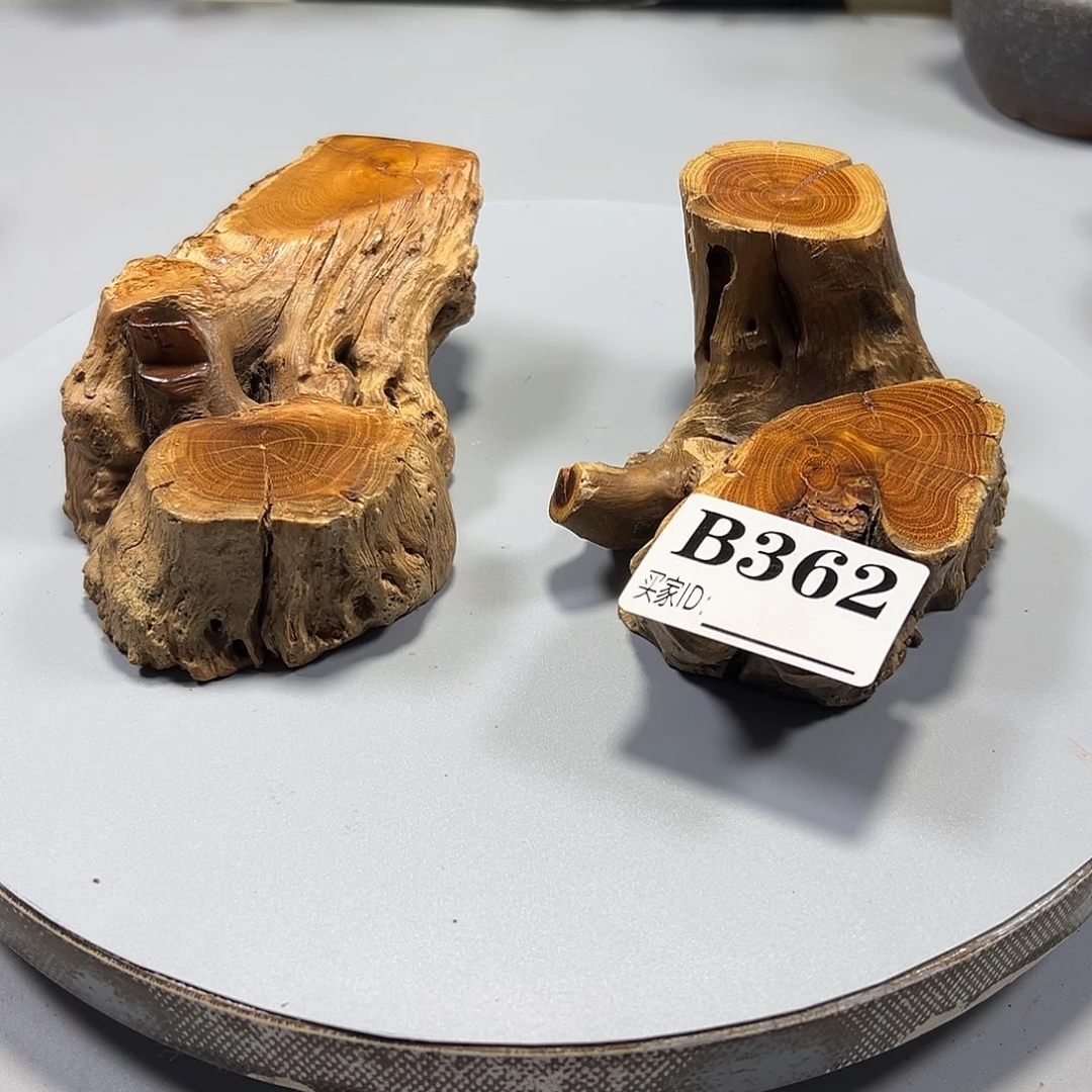 大果紫檀（缅甸花梨）小*羊