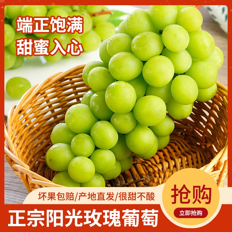 一盒5斤礼盒装隋园长阳光玫瑰葡萄新鲜应季水果玫瑰香味脆甜多汁