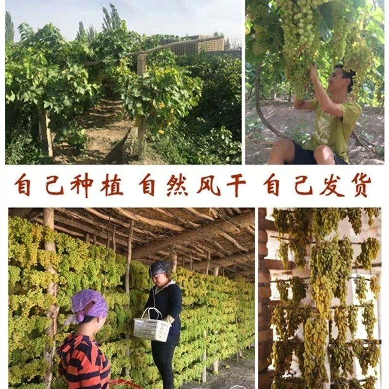 绿宝石葡萄干新疆特产25年新货