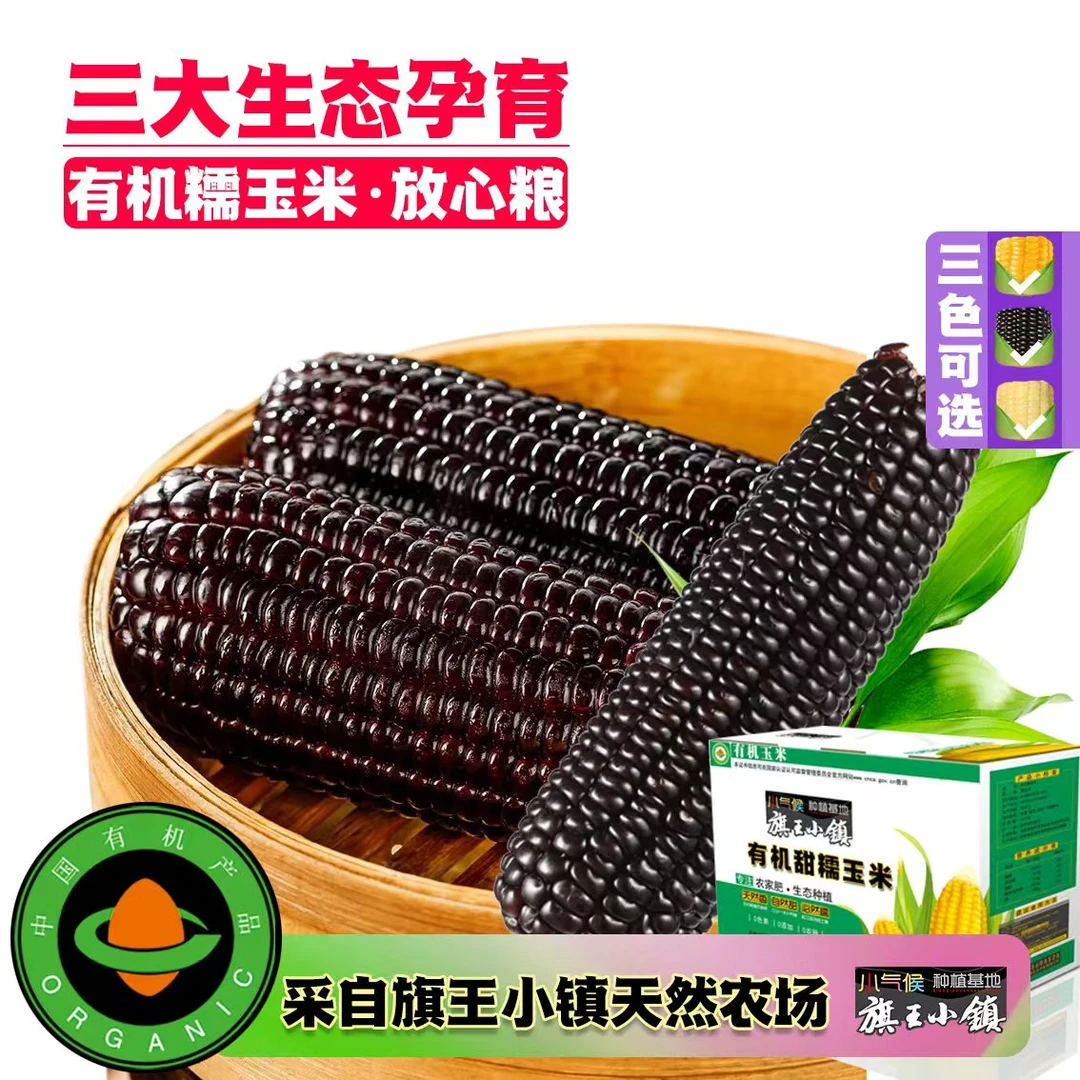 有机糯玉米黑/黄可选采自松花江畔旗王小镇天然农场10支/箱