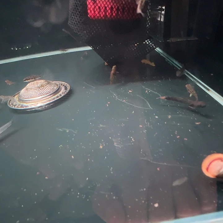 海水用****6熊猫