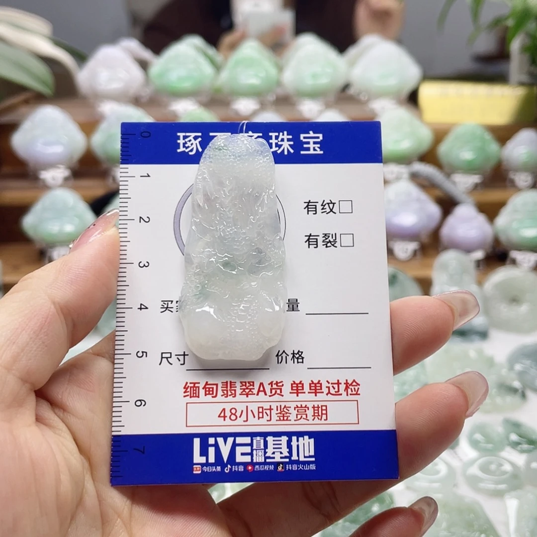 颈饰未镶嵌翡翠龙牌