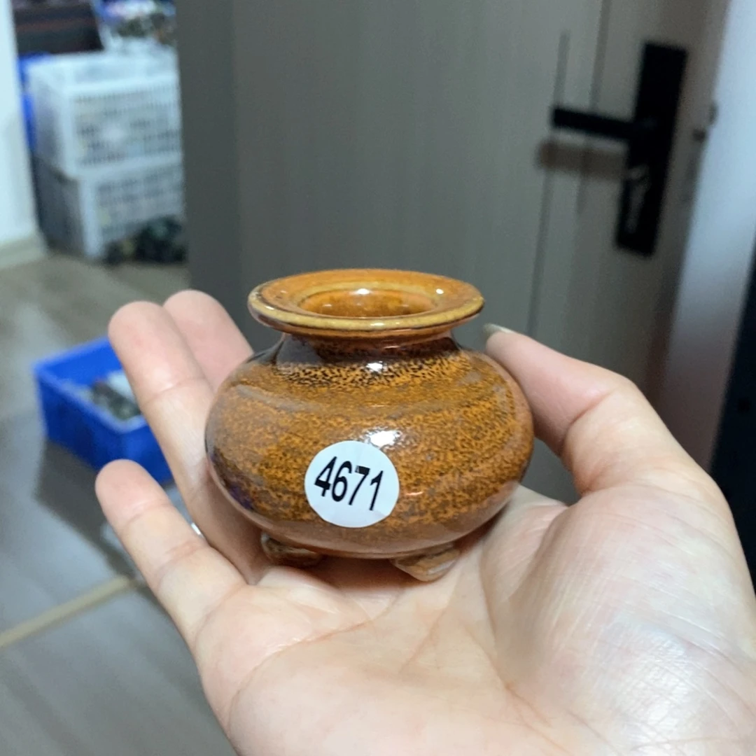 拍5送一个小礼物