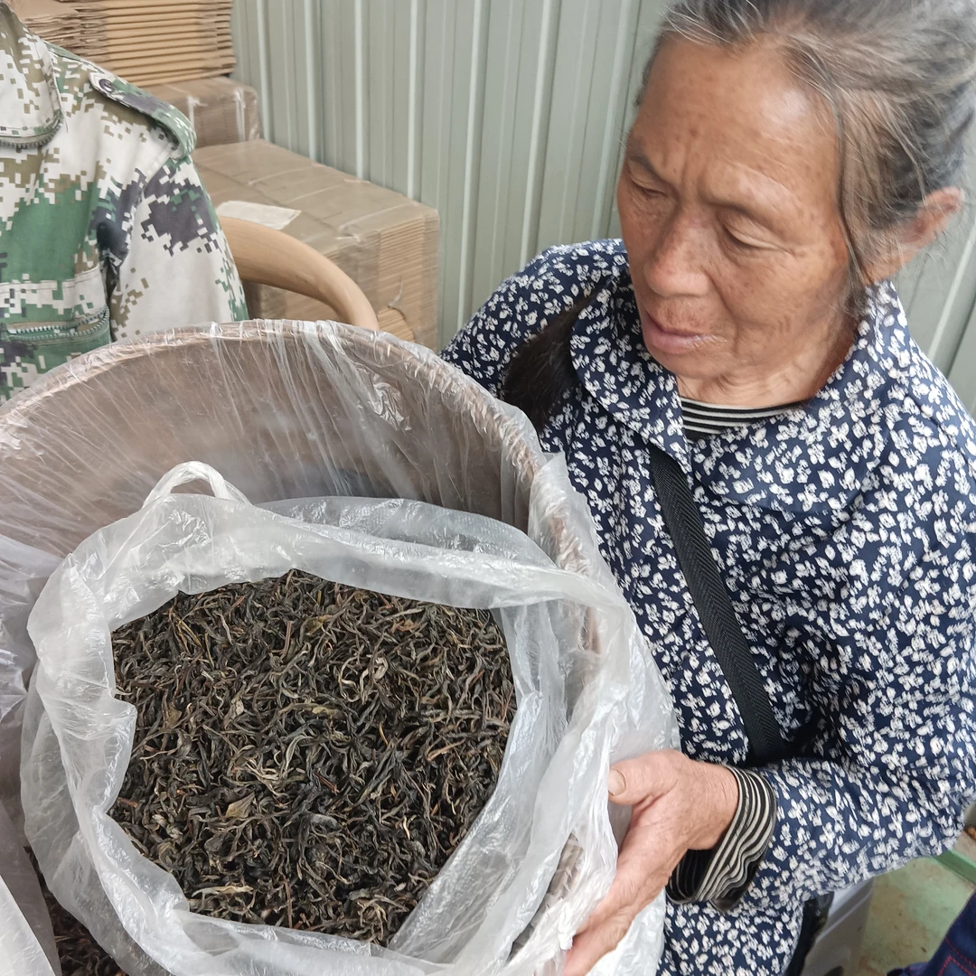 刘大妈 生茶 助农茶 （古树混采）2023年单株老茶250克