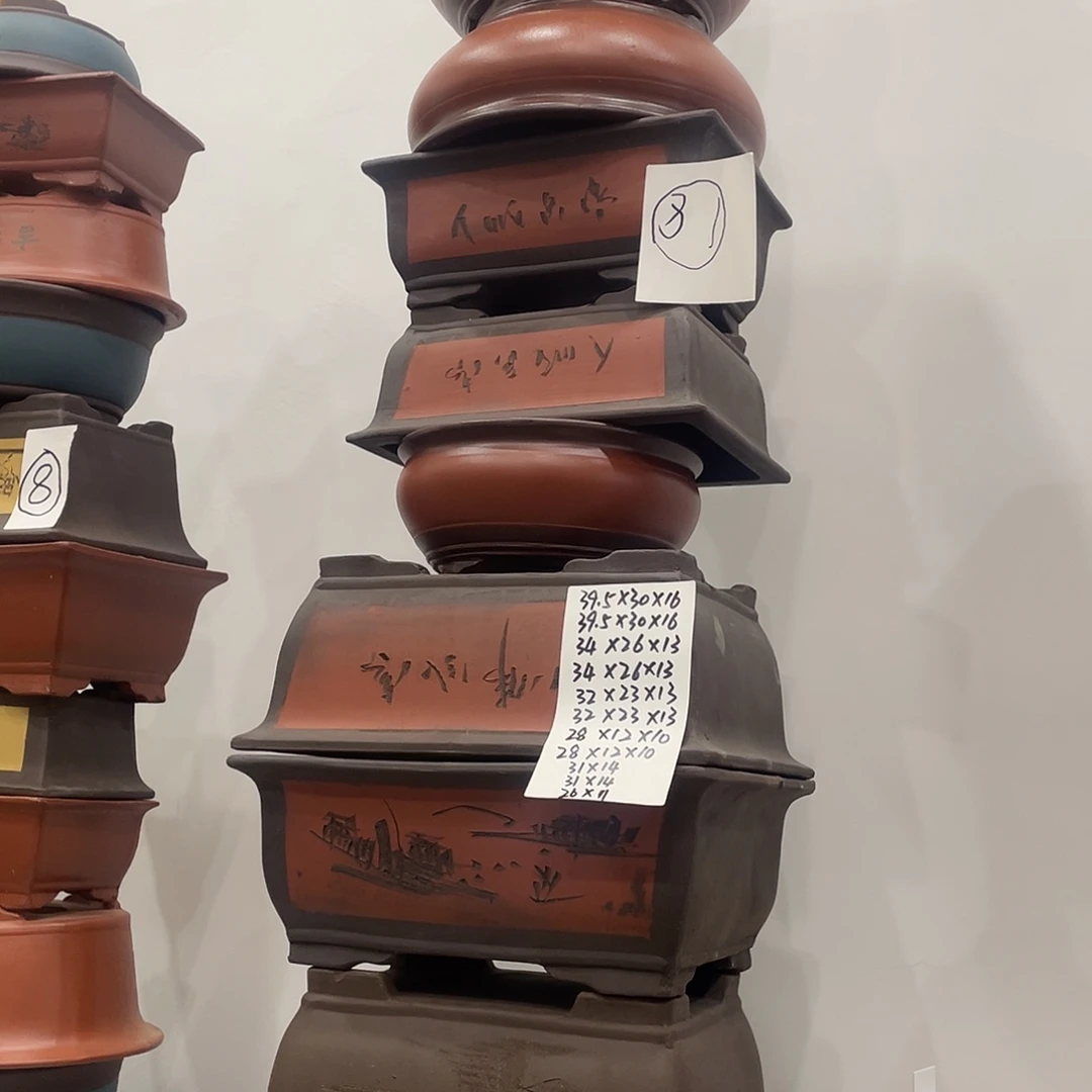 81一家漏家漏家透露