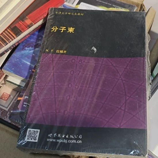 分子束平装英文书库存书