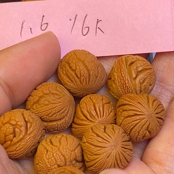 桃核手串秦岭龙纹桃核333