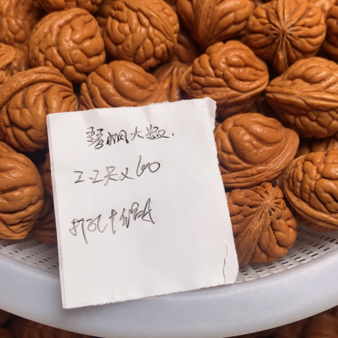 龙纹桃核霸王龙—