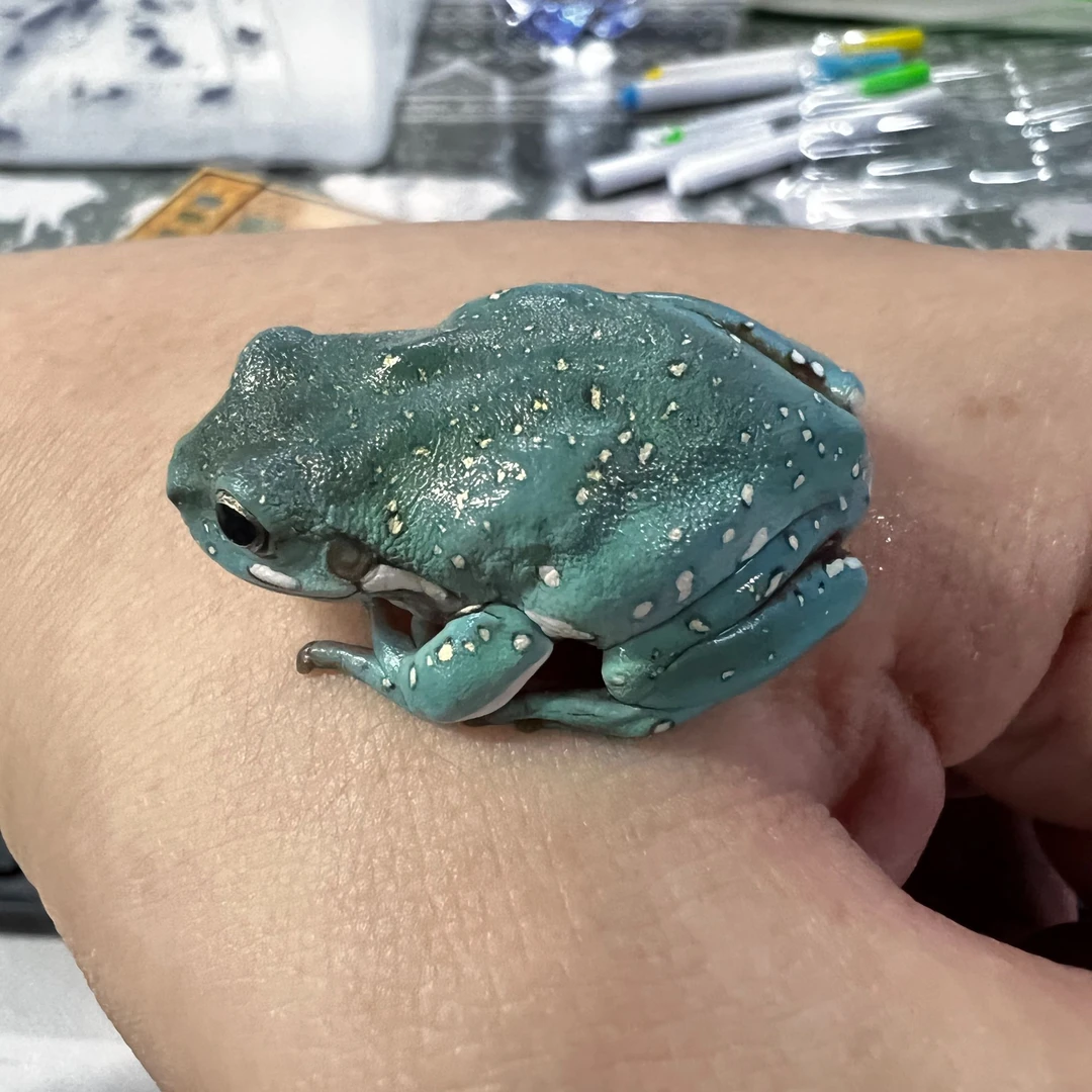 （1蛙1盒）3-4CM蓝姥爷树蛙1只 无赠品 只保开箱活