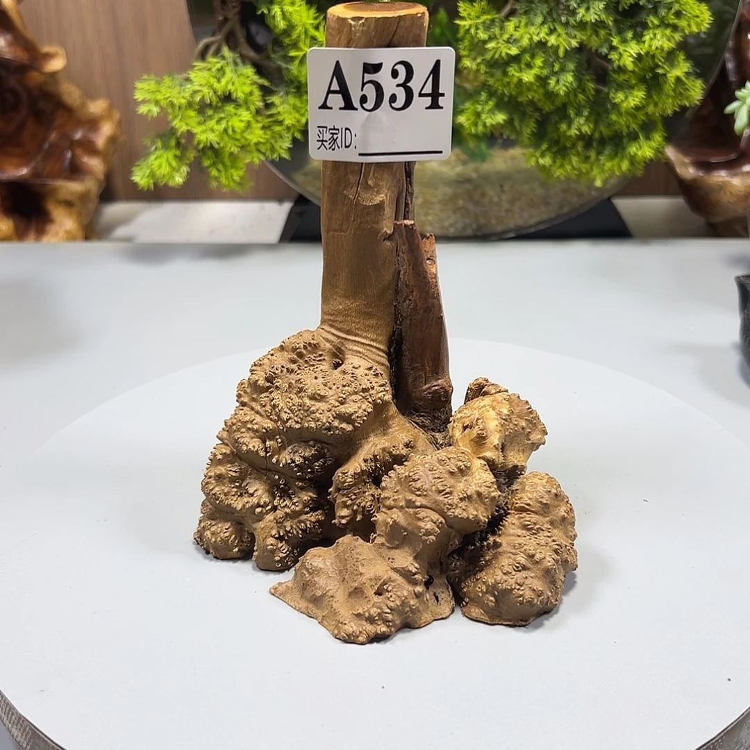 大果紫檀（缅甸花梨）德
