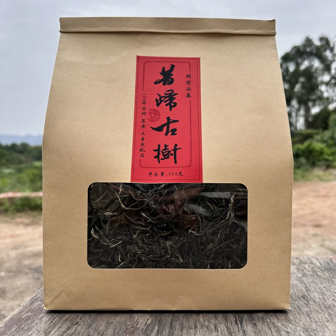 新茶2025年明前头春纯天然长在石头上300年昔归古树普洱生茶500克