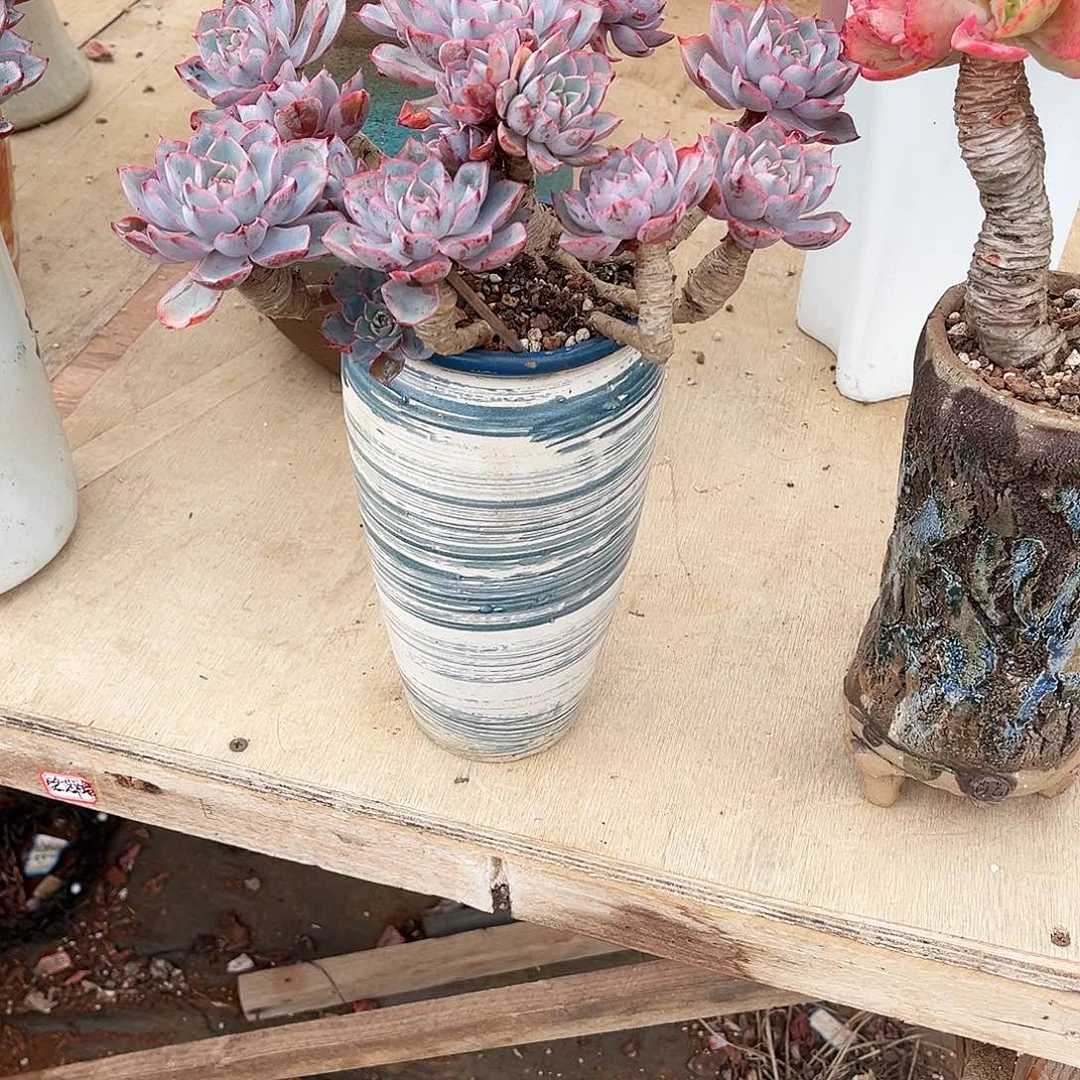 你是否还记得你曾经说的那些人