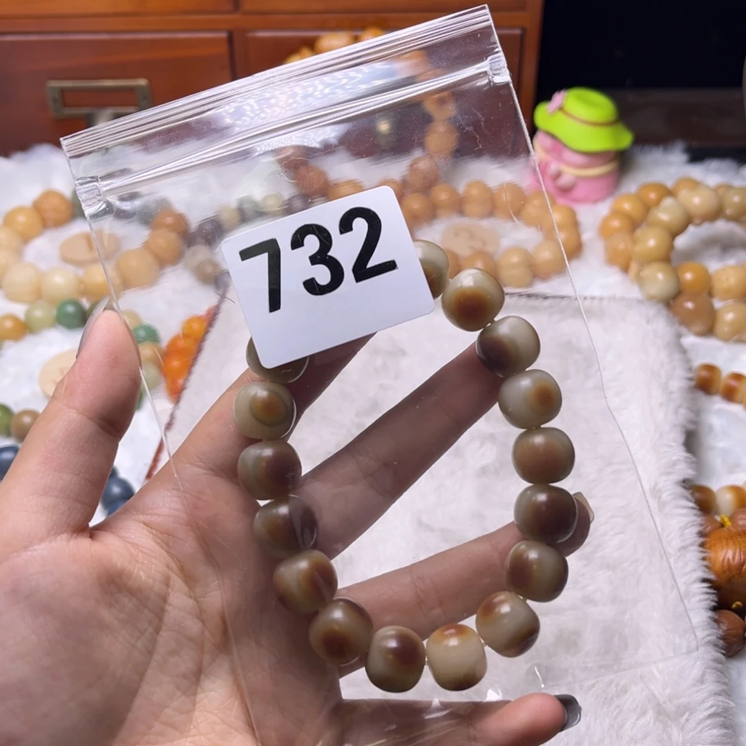 蓝****菩提根/象牙果吊坠732