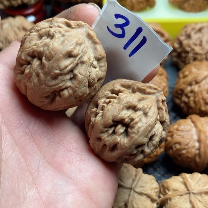 把件文玩核桃霸王龙311