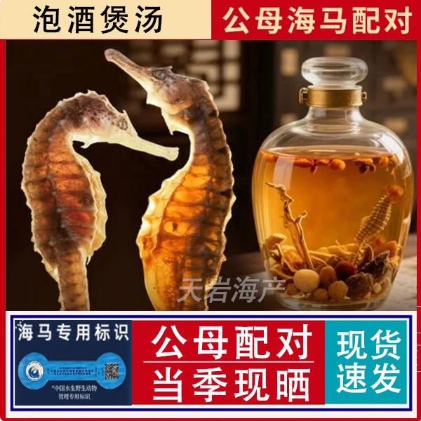 海馬泡酒料包黄芪牛大力人参杜仲巴戟天养生酒男人滋补汤海龙须包