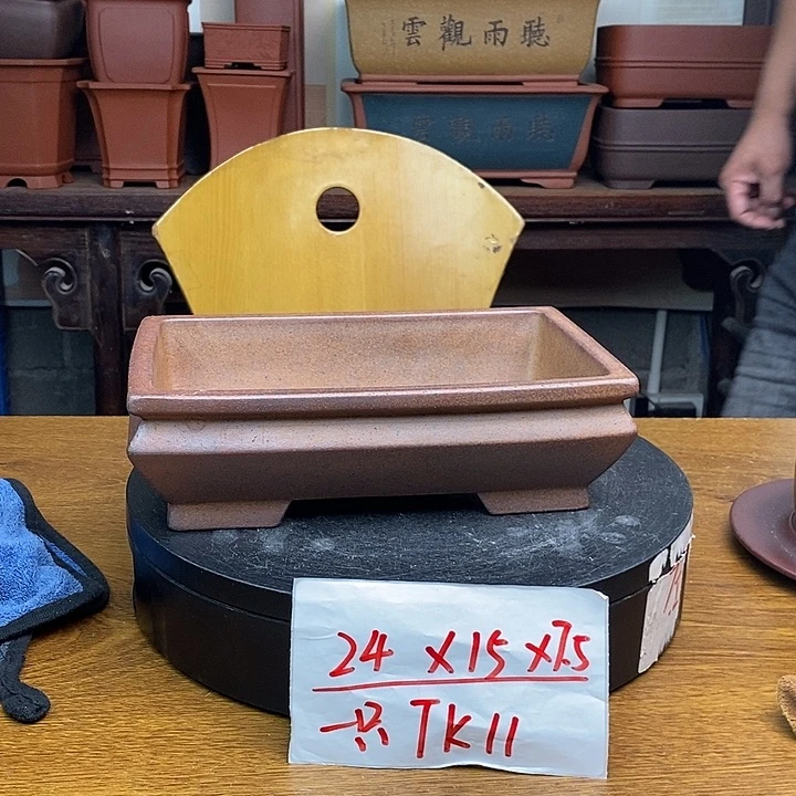 紫砂货号一只TK11