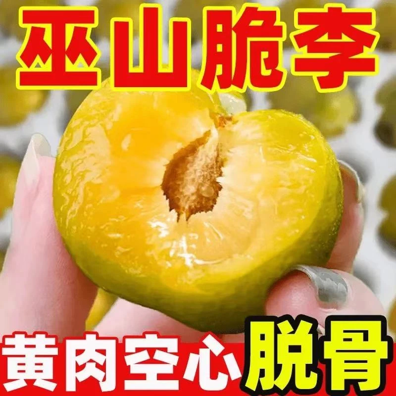 【正宗巫山脆李】重庆巫山脆李脱骨李新鲜应季水果XB1