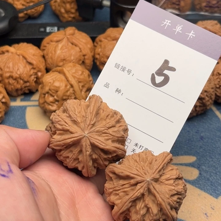 吊坠文玩核桃用****7四棱 5