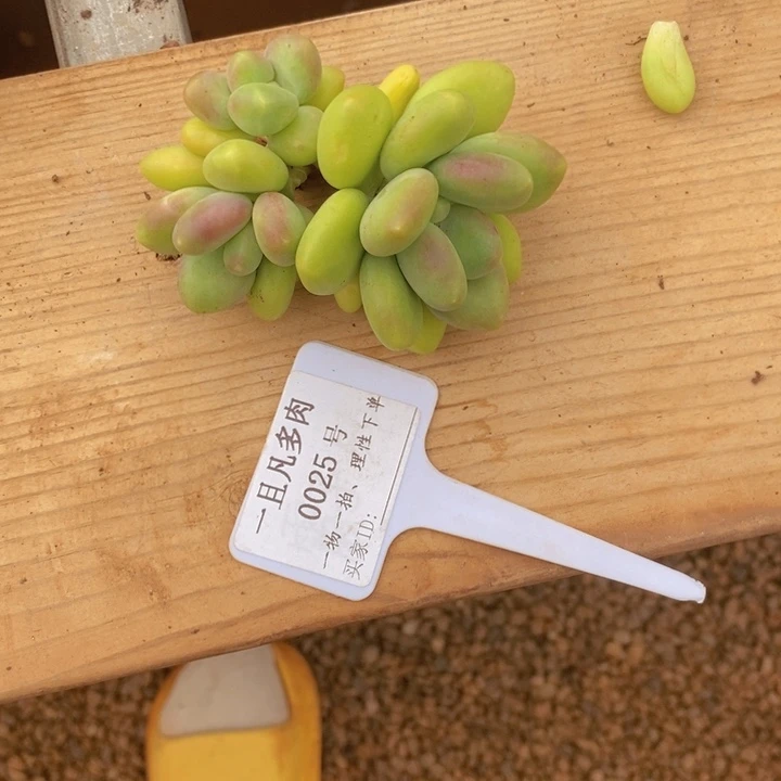 这样做也能有好处