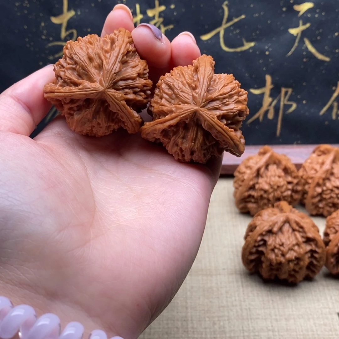 山*白狮子111111111