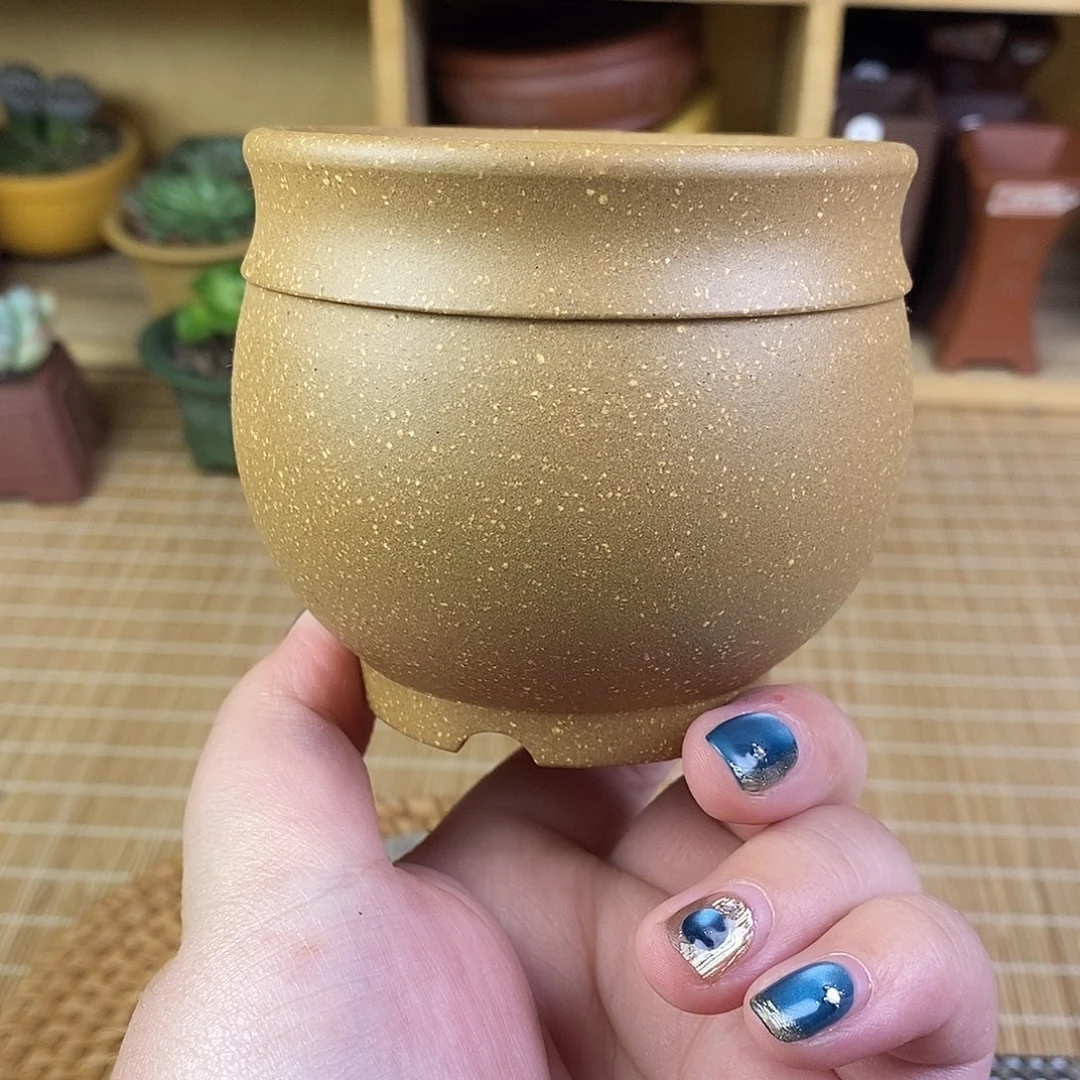宜兴紫砂精品花盆