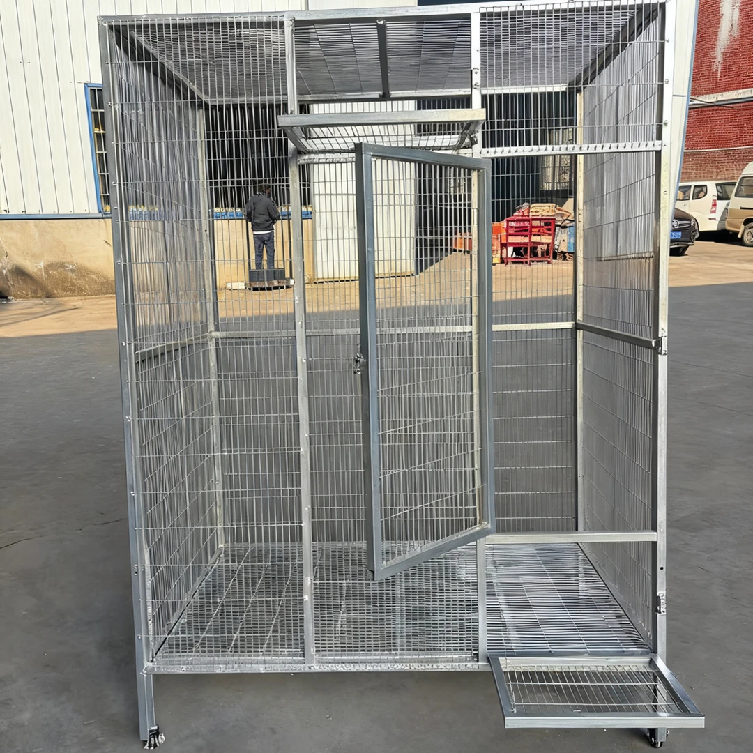 大型加厚镀锌管加密防锈防黄鼠狼养殖鹦鹉鸟笼子鹦鹉笼子2025新款