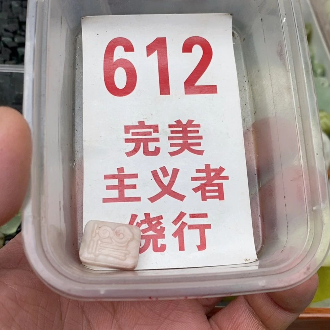 ****0蛇纹石玉未镶嵌挂坠