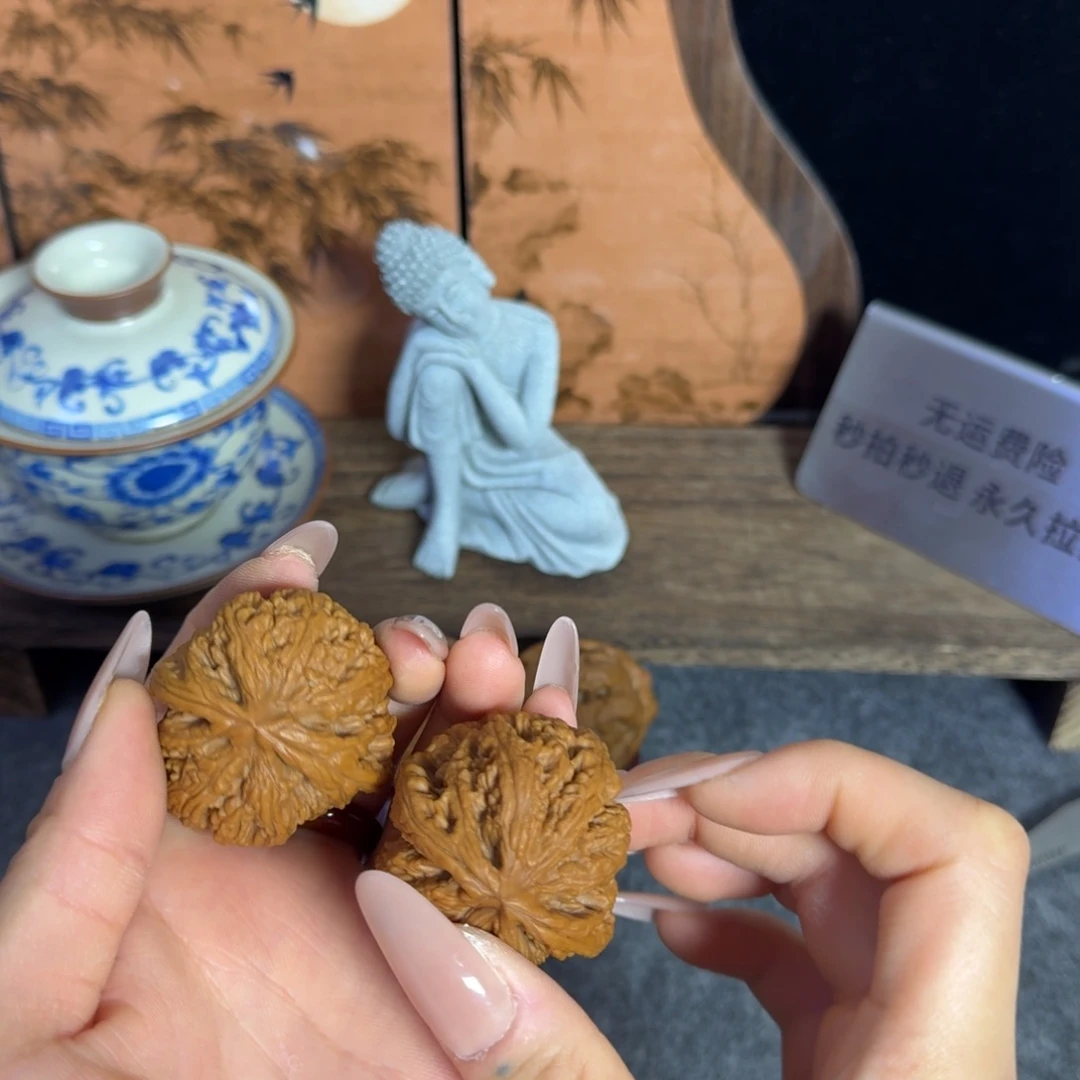 全品41已打底粗筋