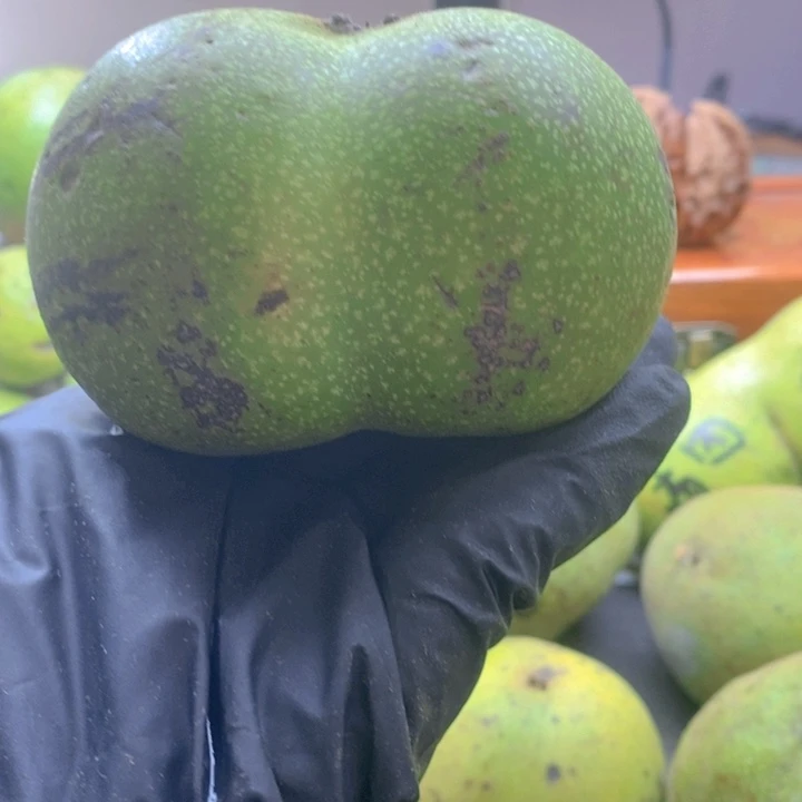 乐***一文玩核桃吊坠88尺白狮子半壁一个