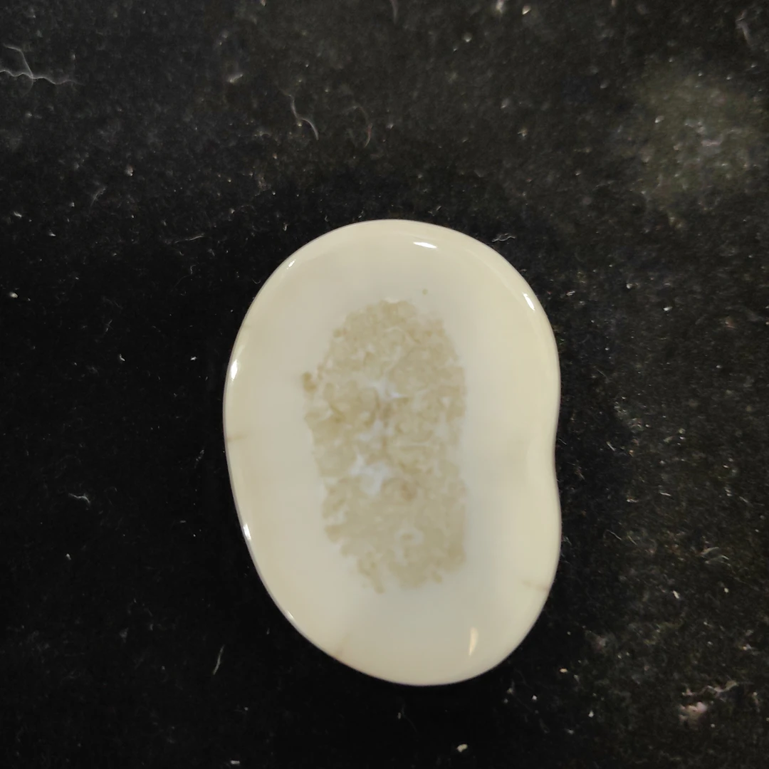 猛犸猛犸虬饼子WW109