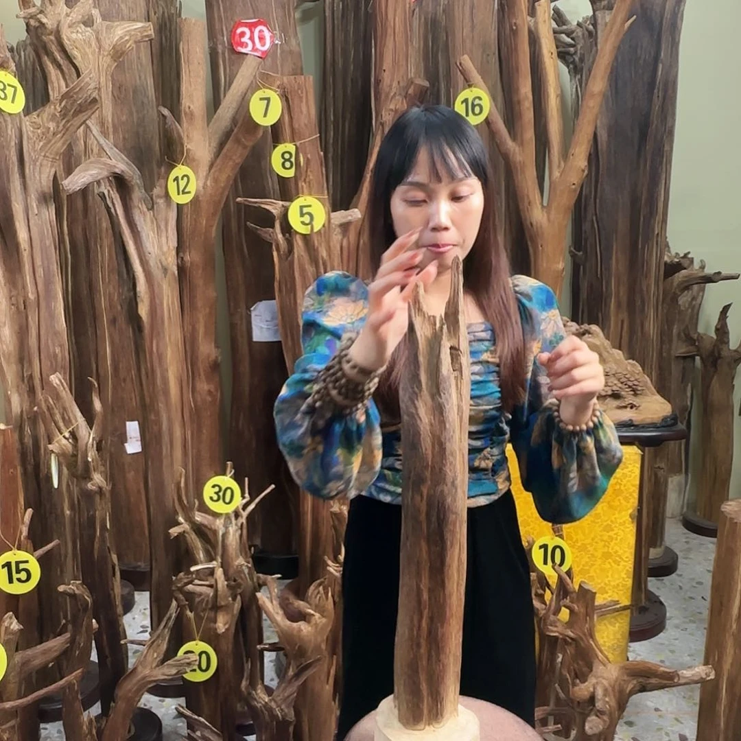 沉香沉香碎屑天然沉香原材料香料熏料