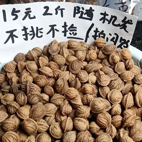 吊坠桃核龙纹野生山桃核15元2斤随机发