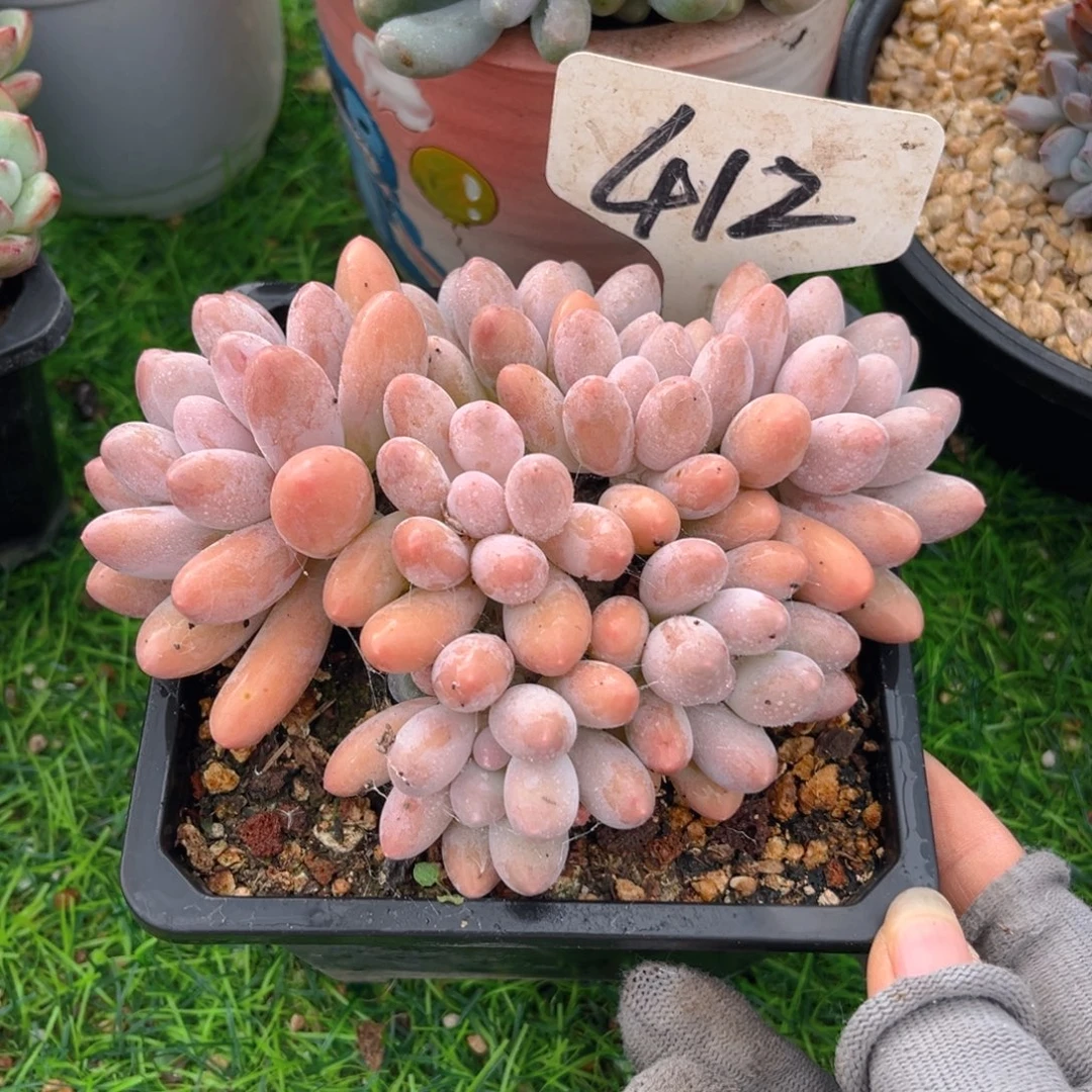 冷***水412fghjjjjjjjjjjk