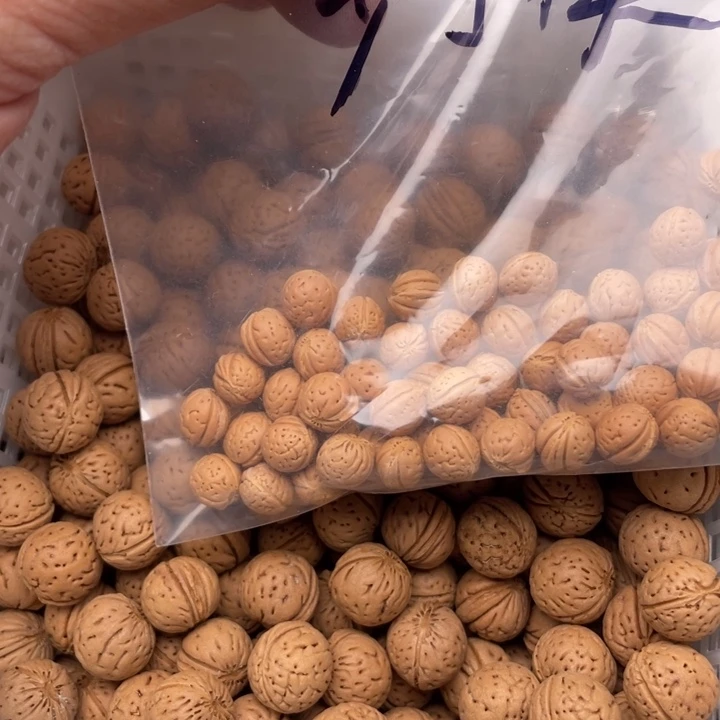 清***水散籽批发小桃核25