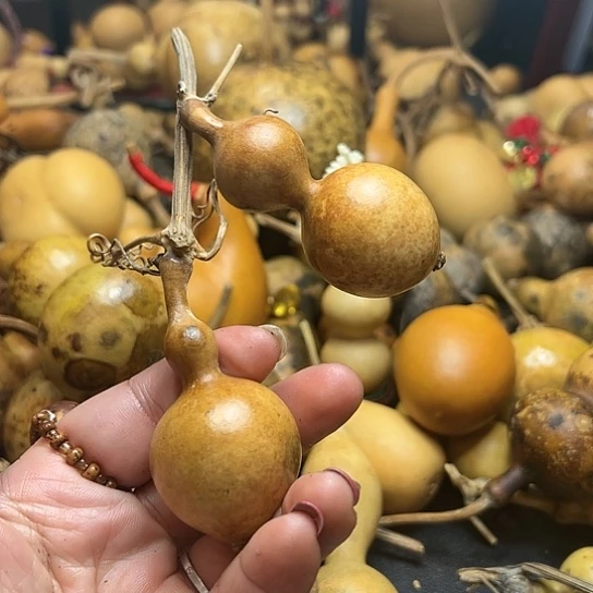 ꧁**꧂葫芦葫芦葫芦葫芦