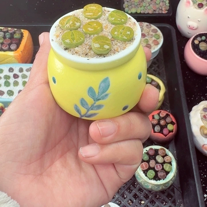 659零下地区记得拍保温小箱满18包邮