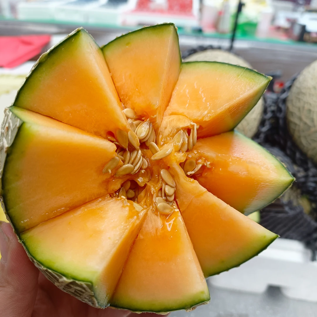 海南红肉玫珑瓜（坏果包赔）