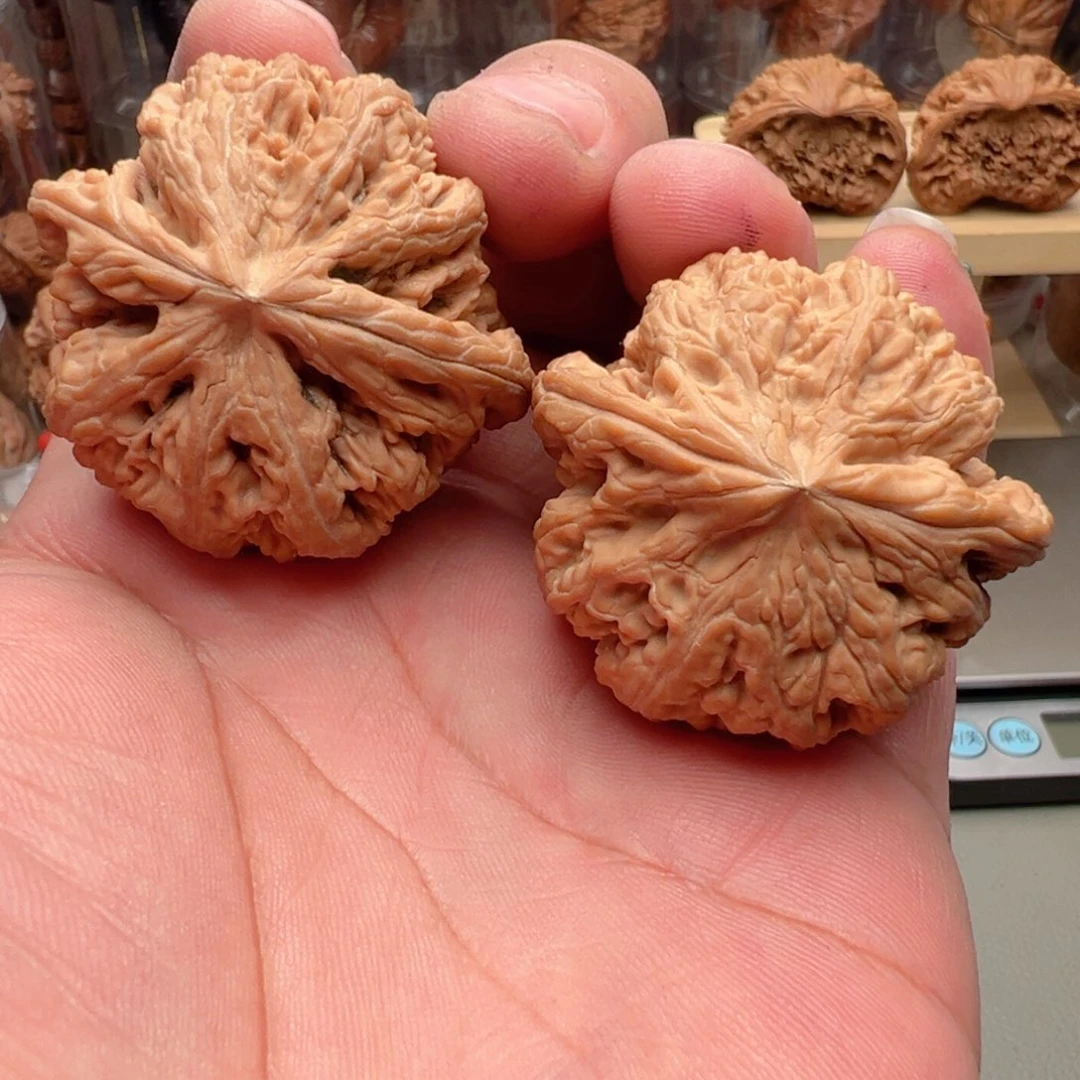 把件文玩核桃45+全品大粗筋