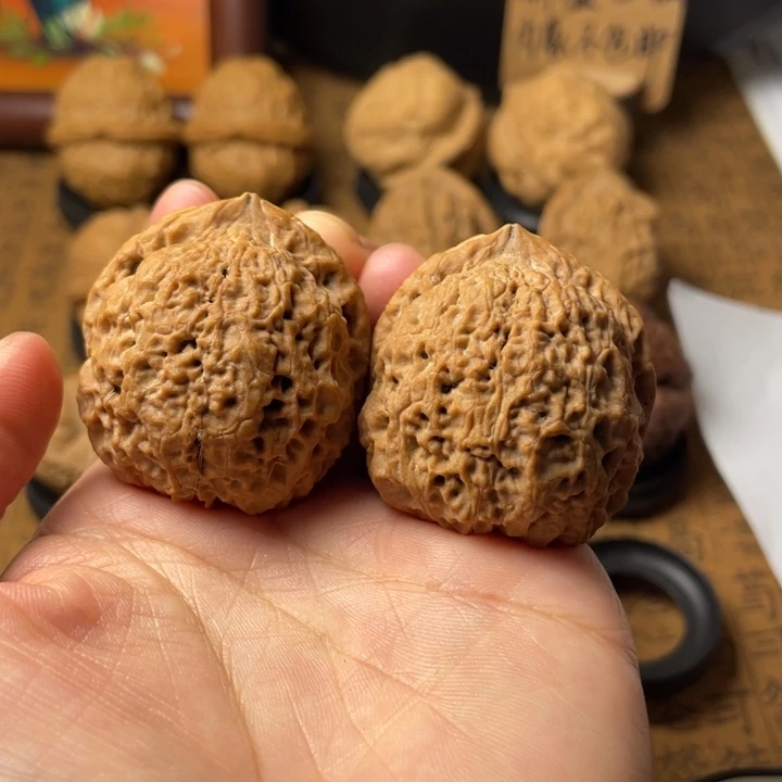 碎***嘴云南野生铁核桃编号43