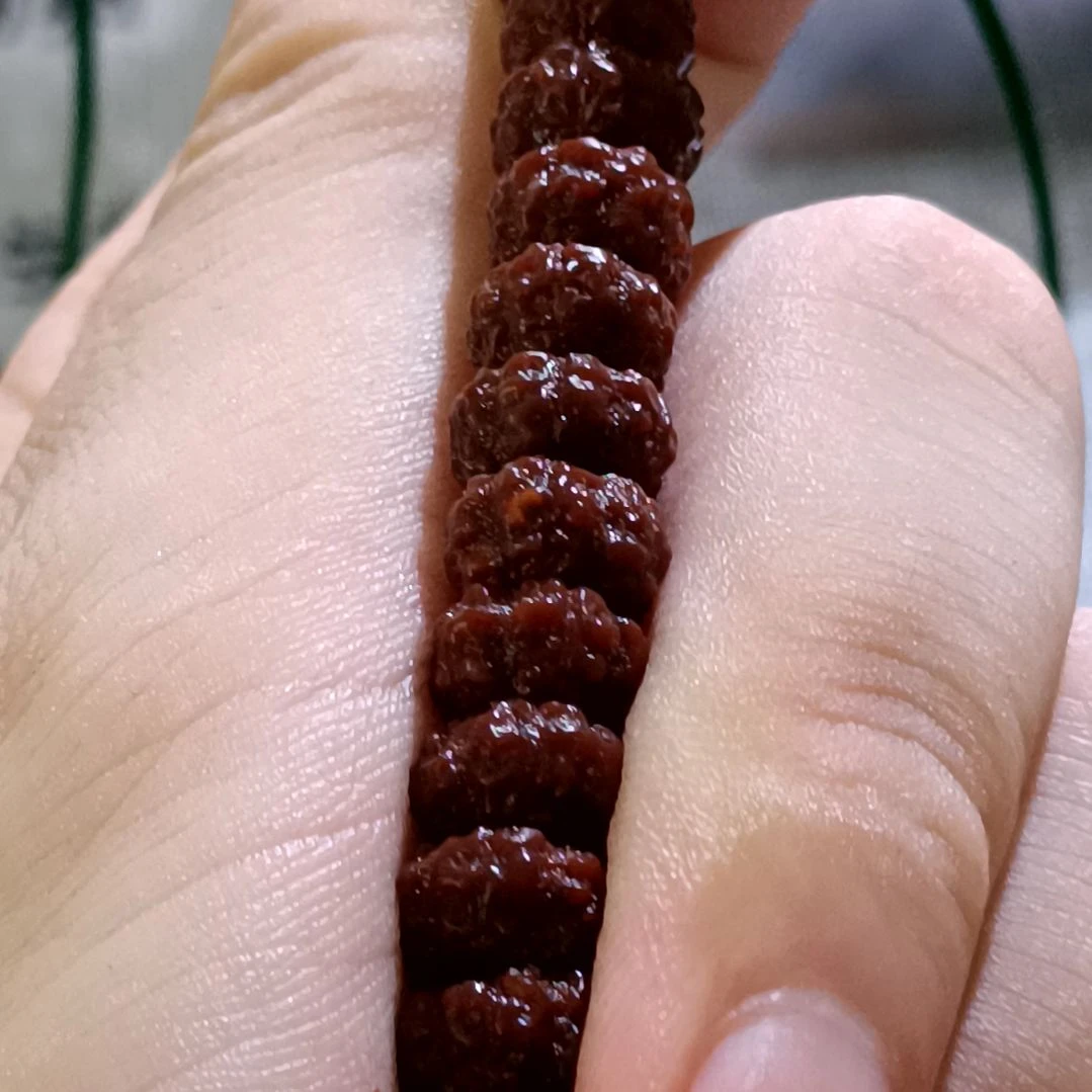 金刚菩提吊坠藏切盘龙纹9.1