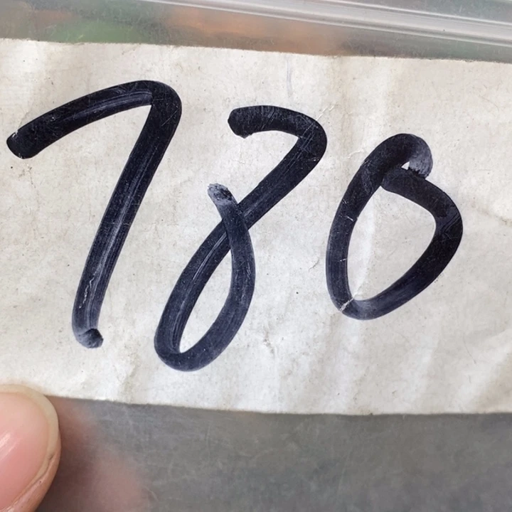 神***趣金属德宝文玩专属链接