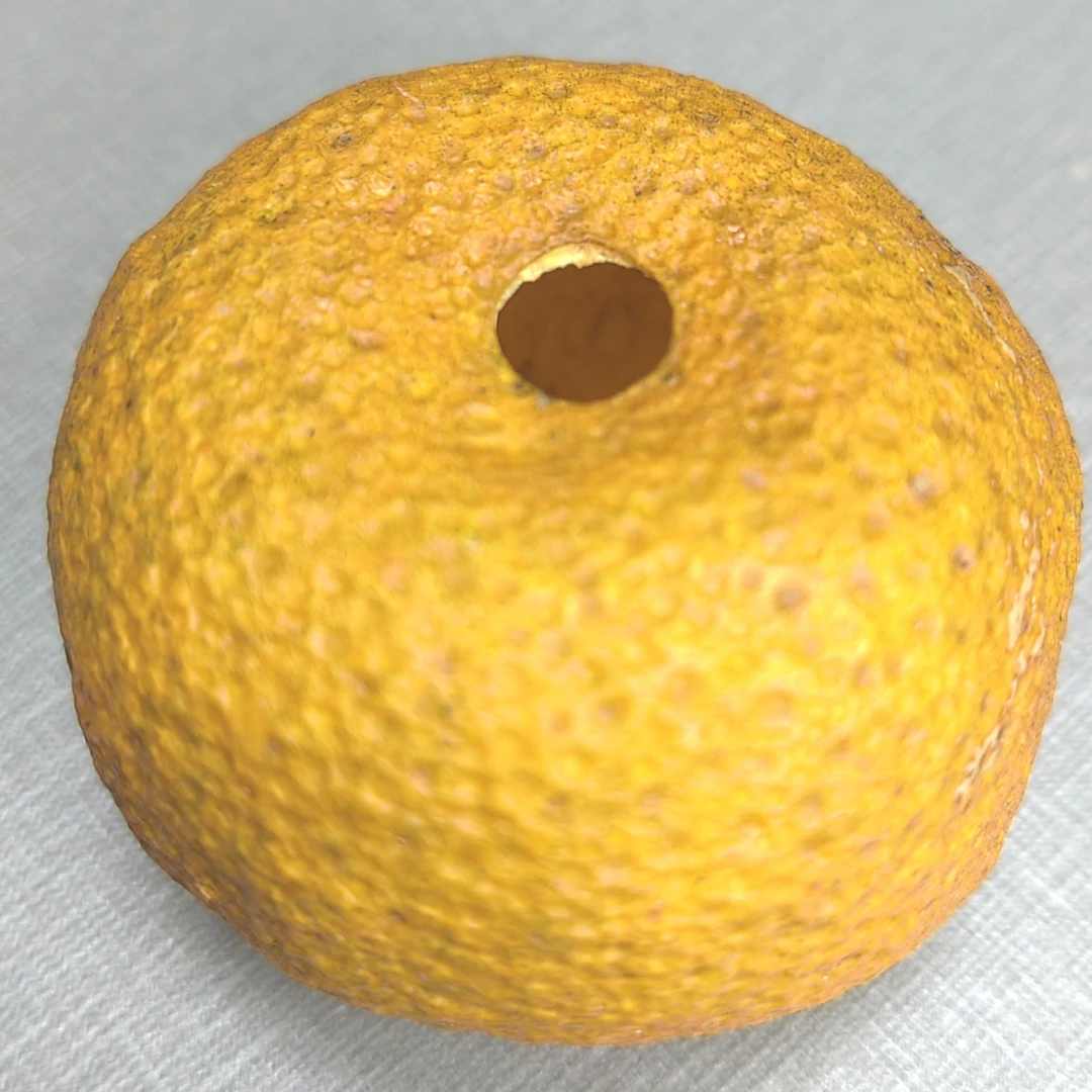 2025年东甲礼乐墩原始品种冬后柑壳