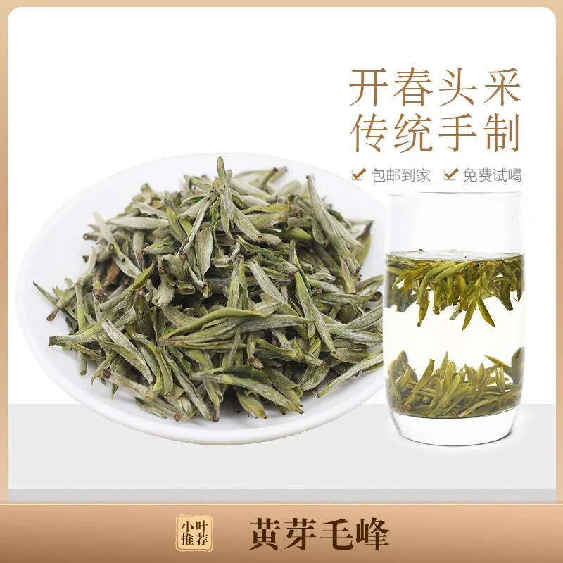 2025头春头采黄芽毛峰 绿茶