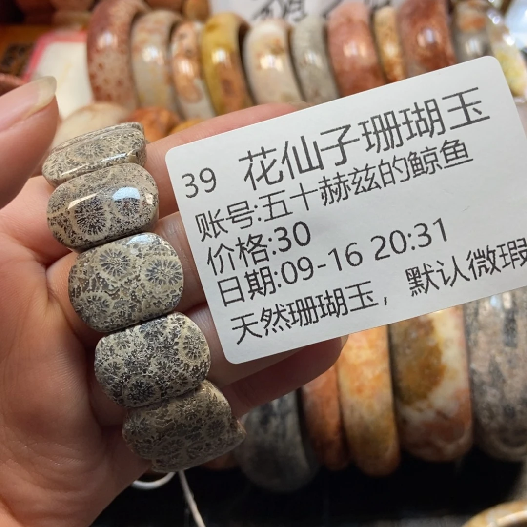 五***鱼未镶嵌硅化珊瑚（珊瑚玉）珠宝半成品39