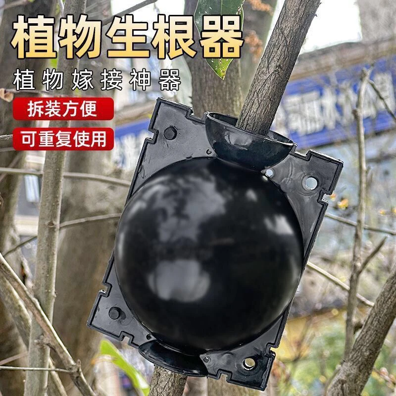 3140 植物生根器 【以主播介绍为主】