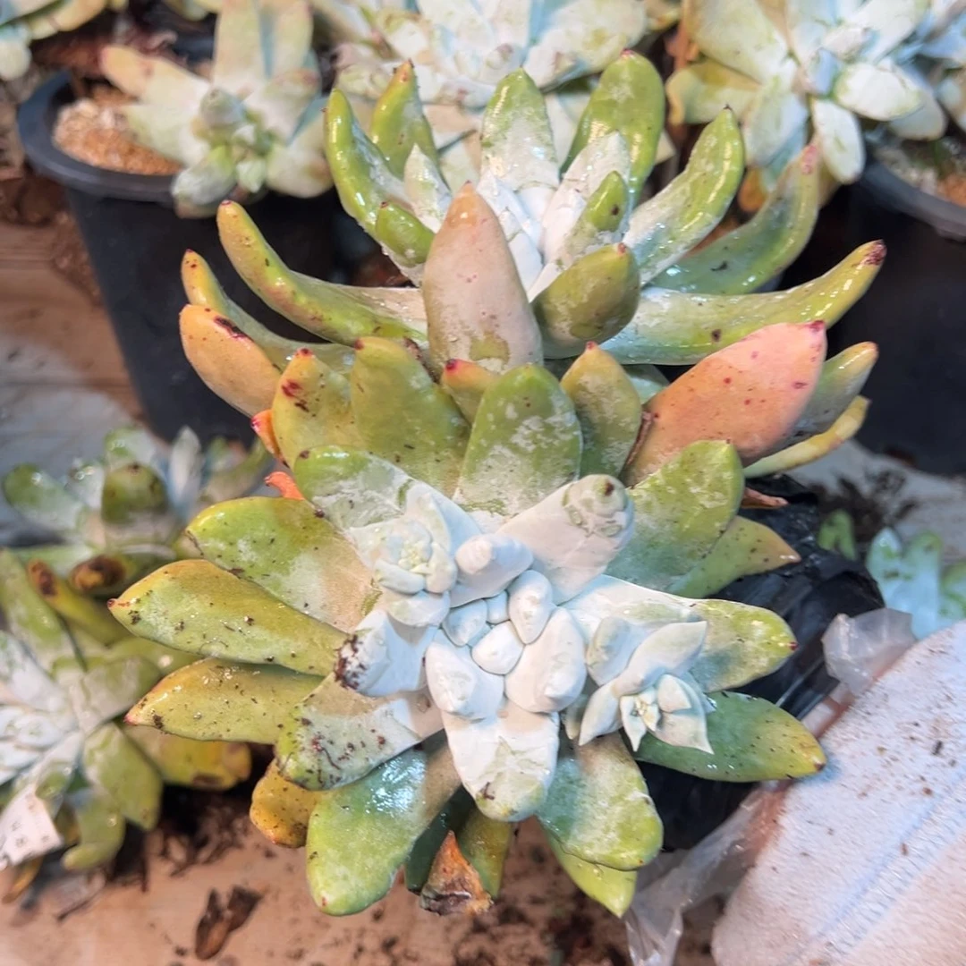 202哈哈哈哈哈哈哈哈