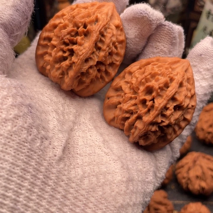 核桃40尺秦岭野生秦大龙