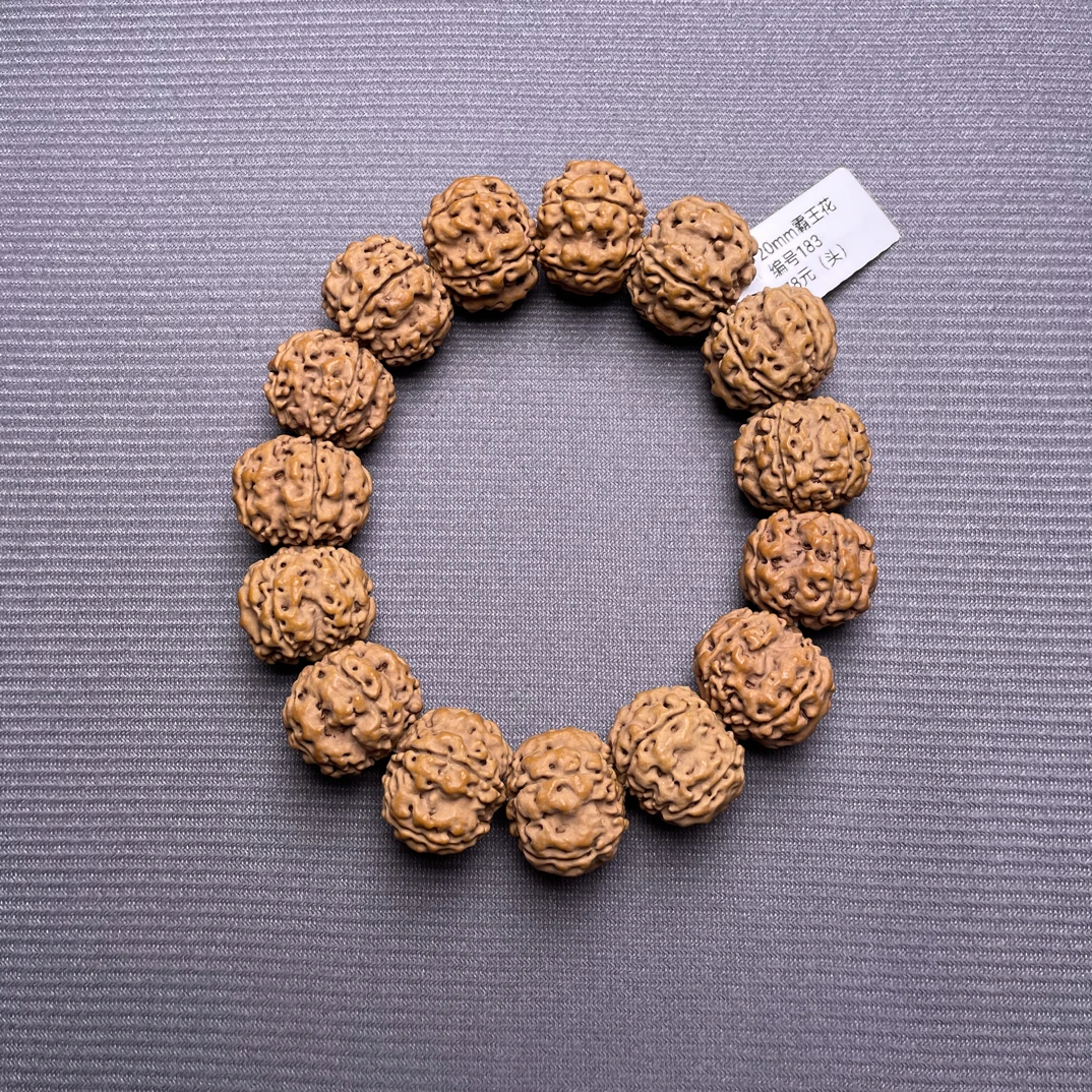 20mm原生态霸王花(头)编号183 金刚菩提